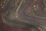 Polished Tiger Iron Stromatolite Slab - Billion Years #222944-1